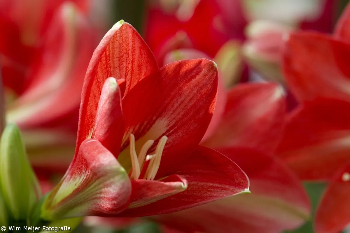 tumblr n4ebmbmrlq1svvyvco1 1280