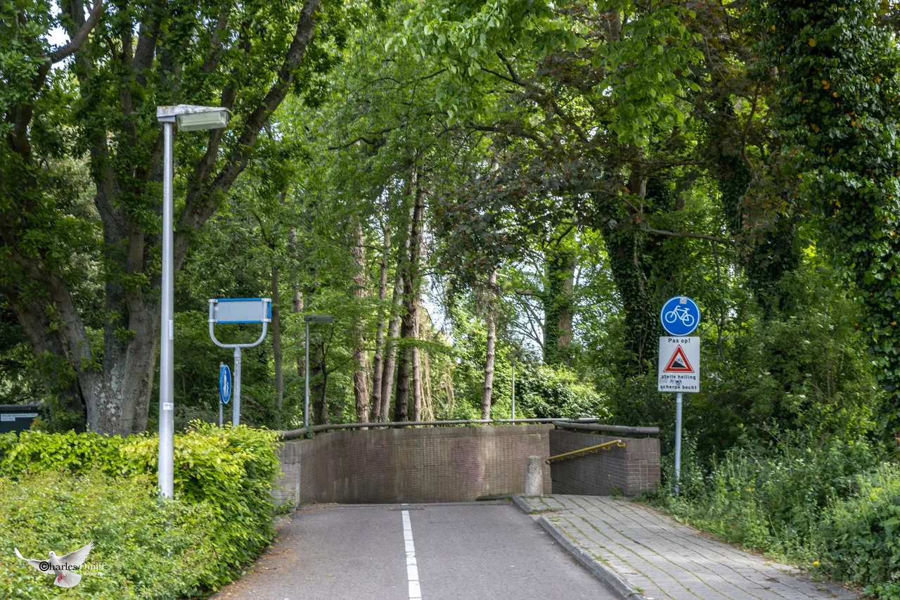 tunnel1
