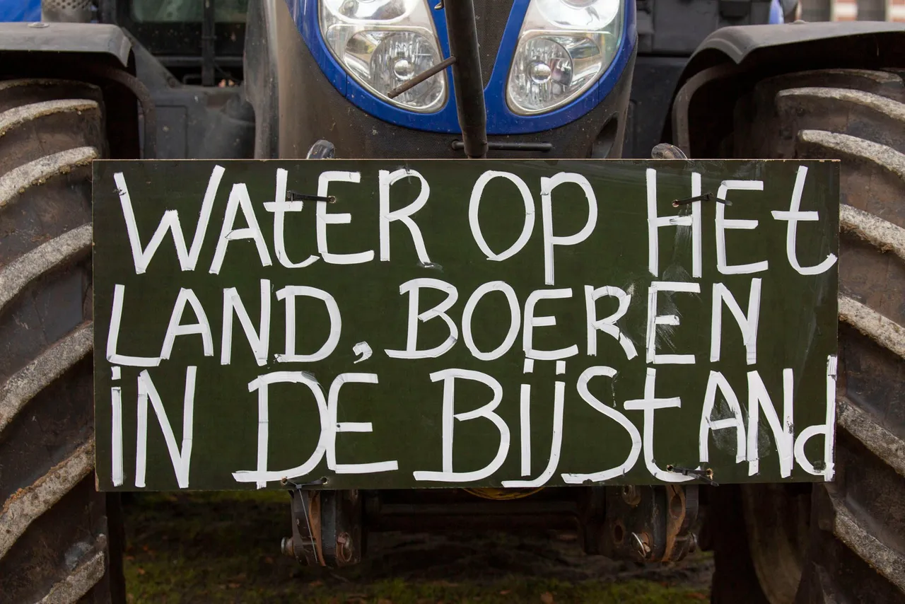 uitgelicht