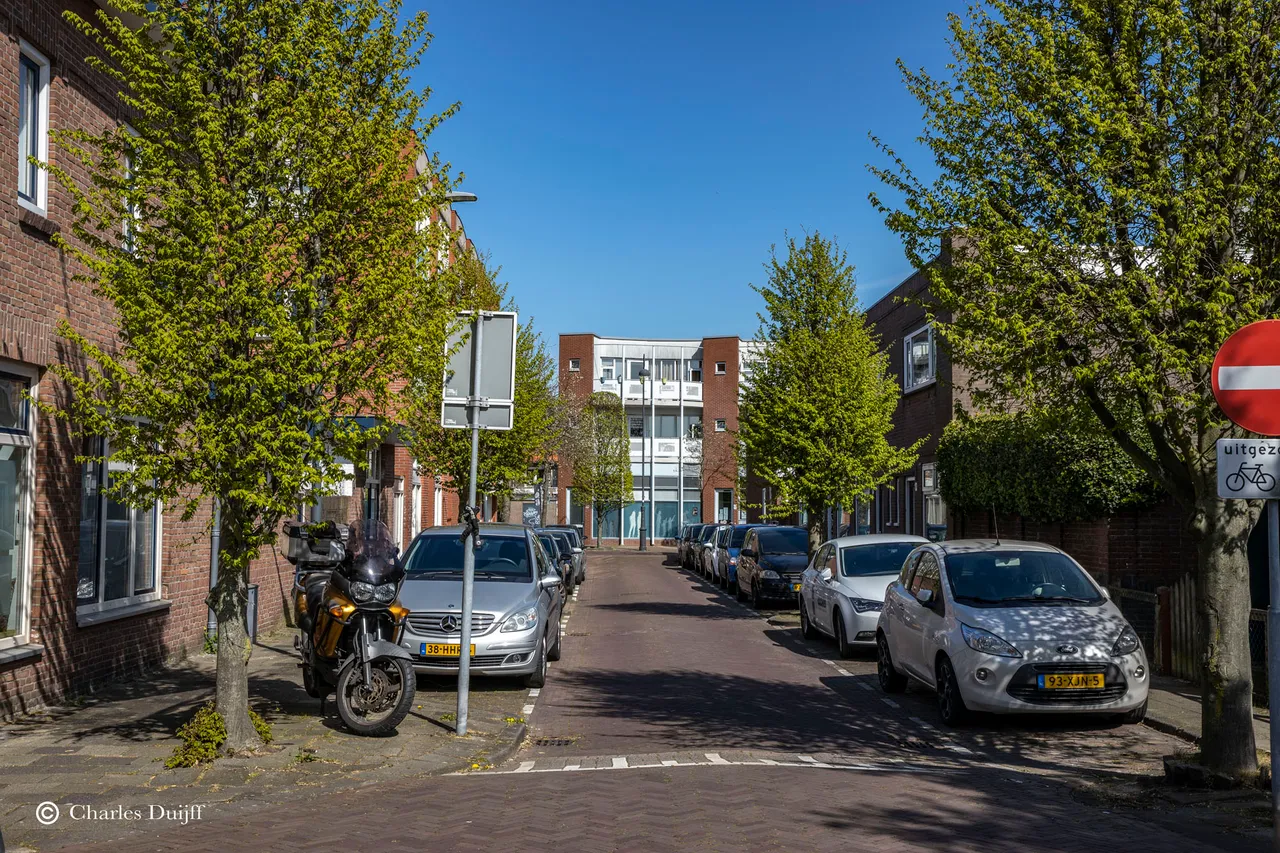 uitzoeken
