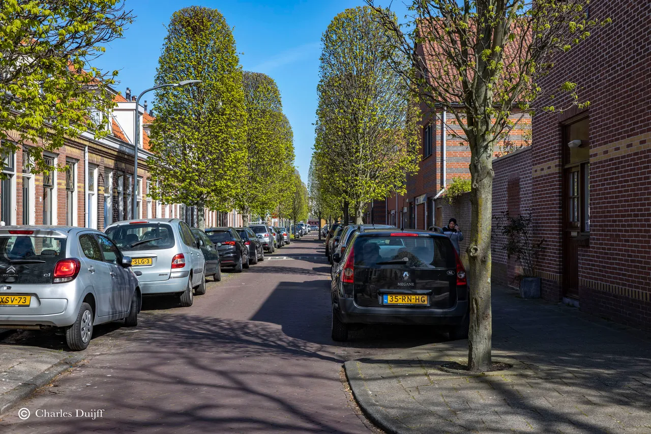v d hulststraat
