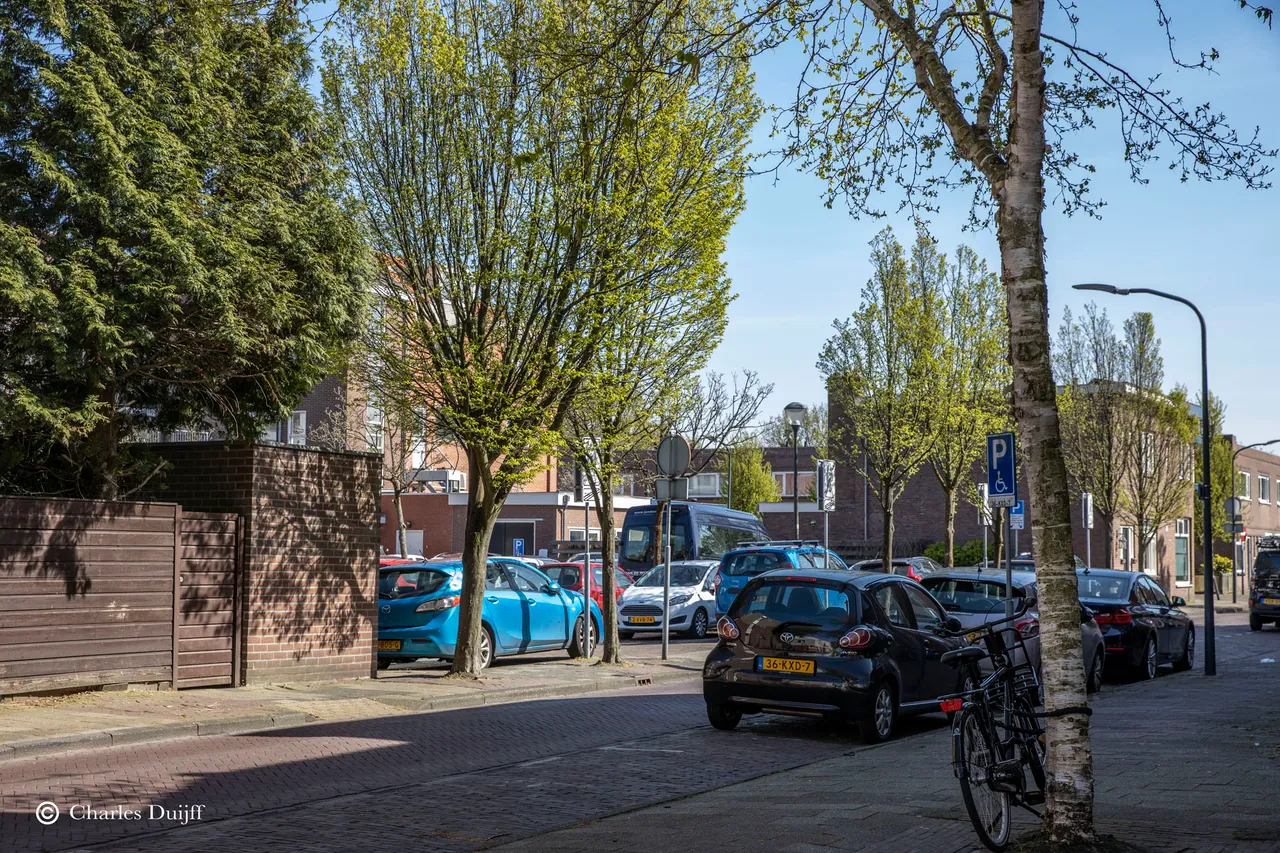 veel auto s