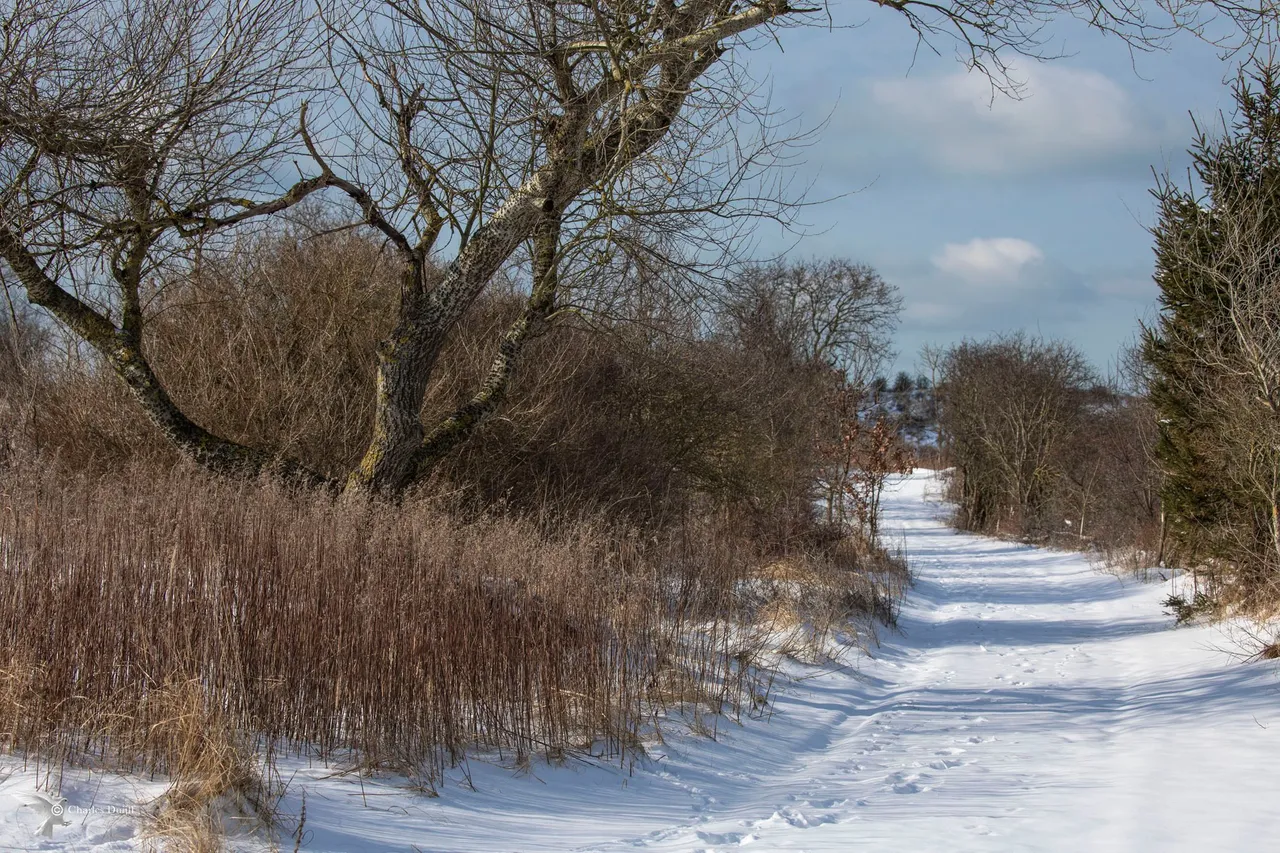 voetpad zeeweg