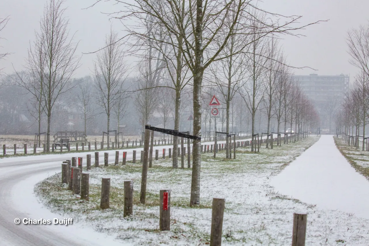 vrijheidsdreeef