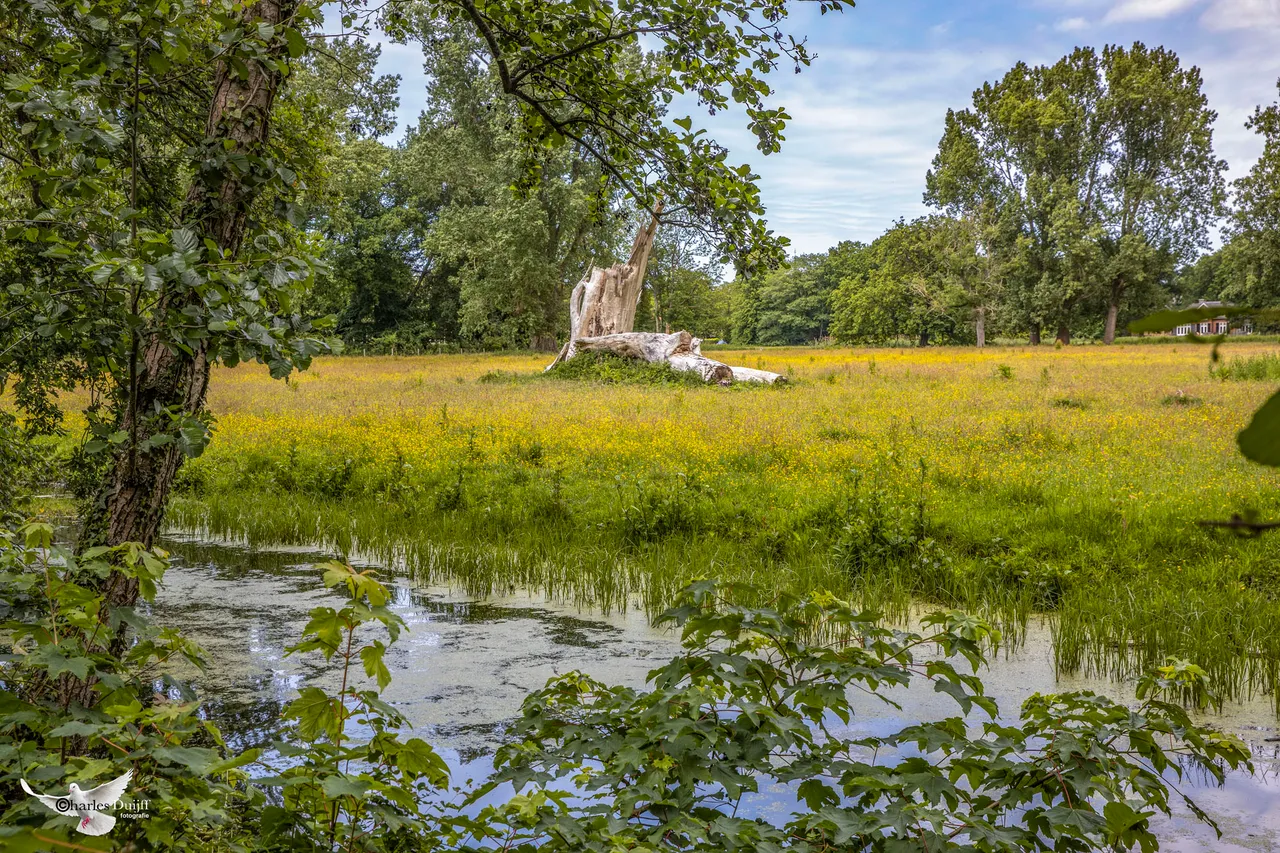 vrijheidsdreef1