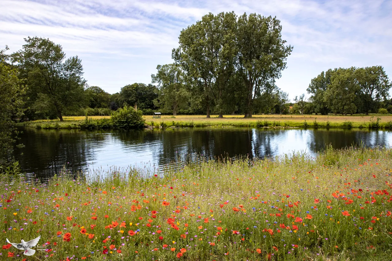 vrijheidsdreef2