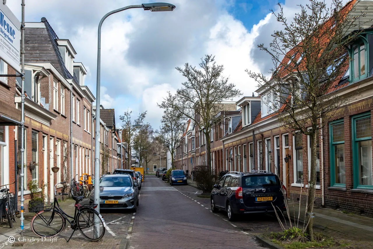 wald pyrmontstraat2