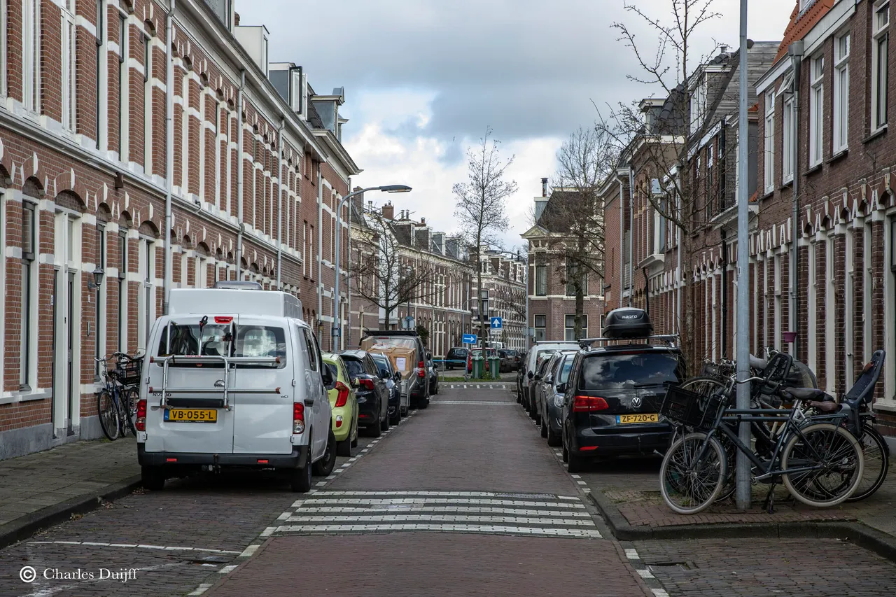 wald pyrmstraat