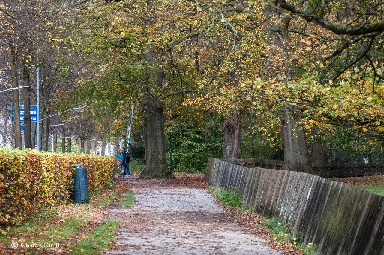 wandelparcours