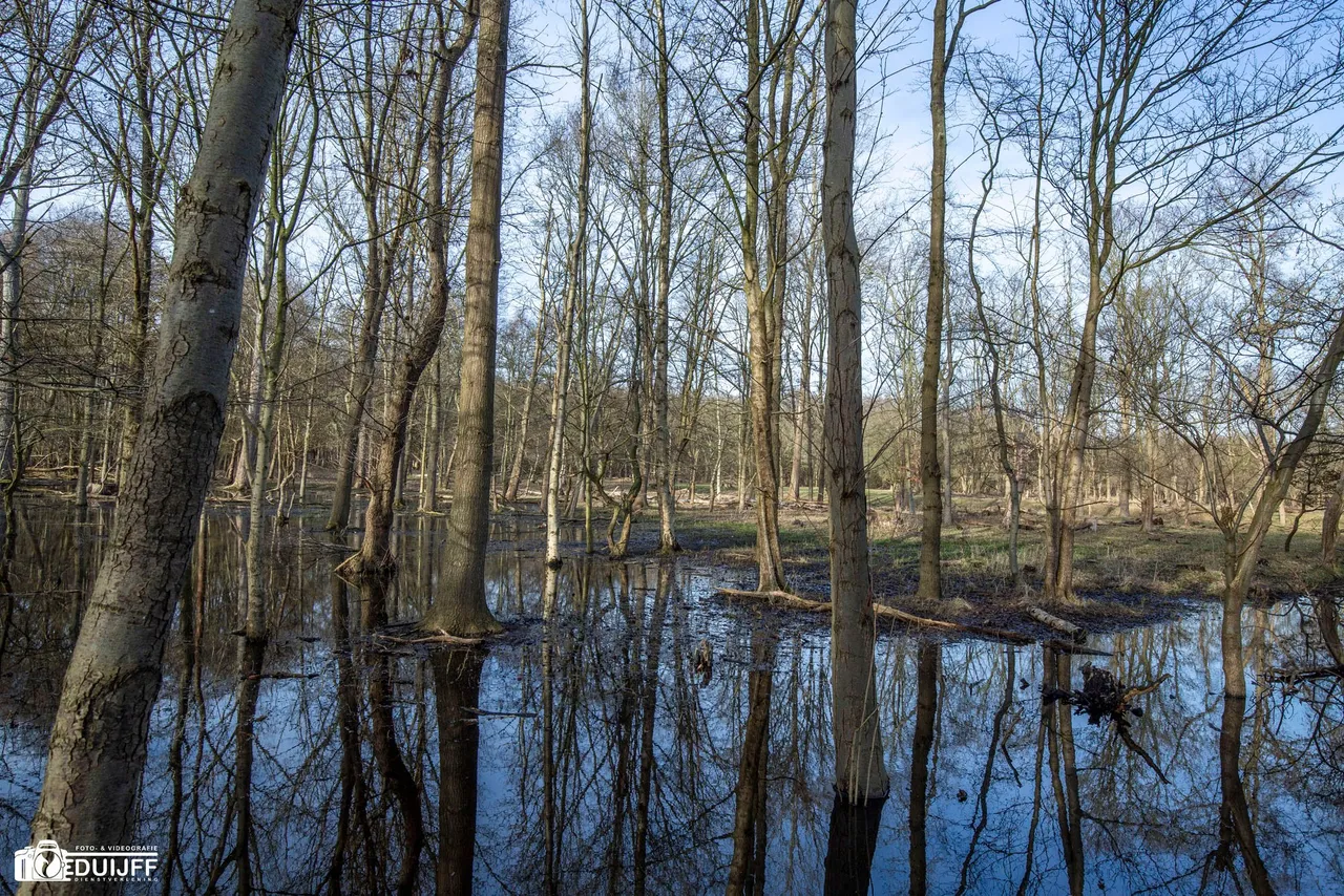 water in duingebied