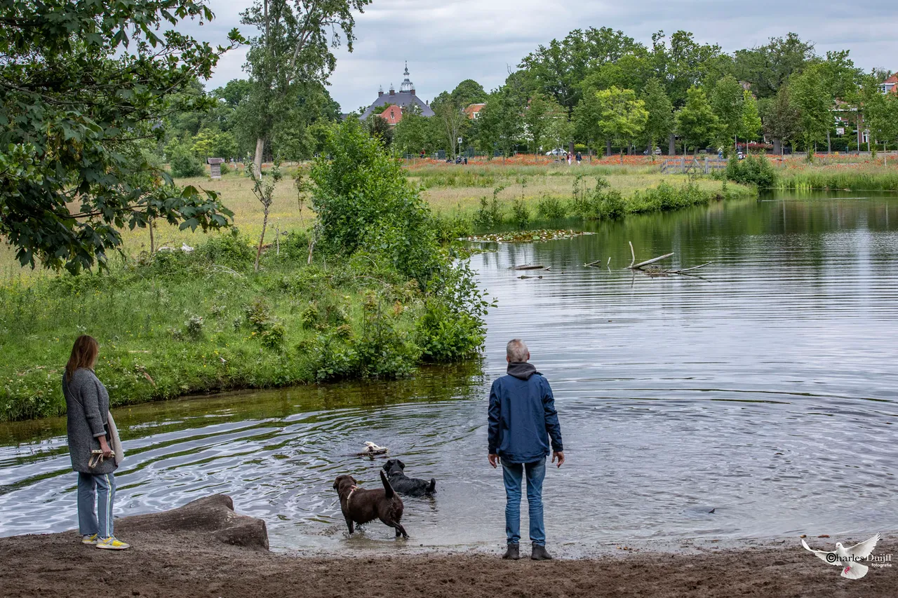 water vrijheidsdreef