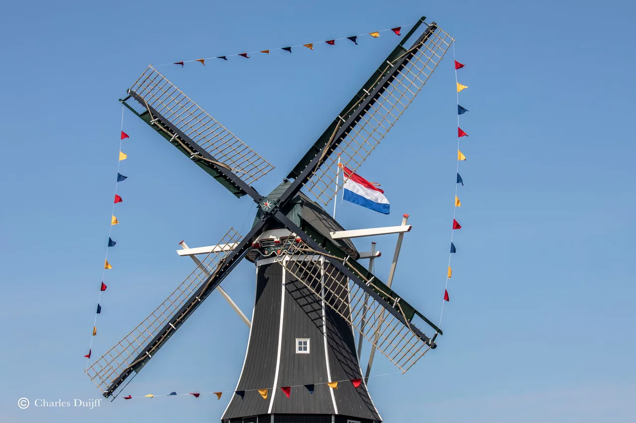 wieken adriaan