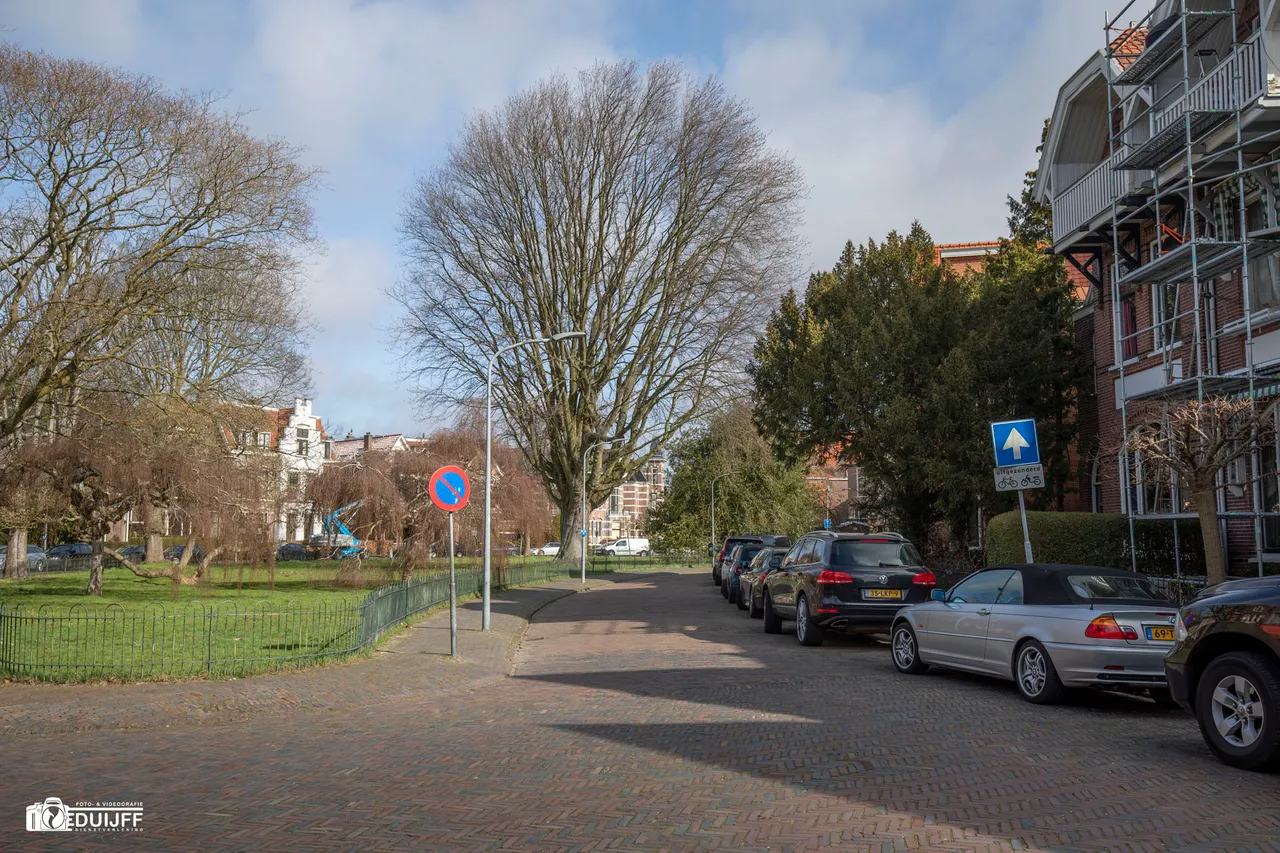 wilhelminapark c
