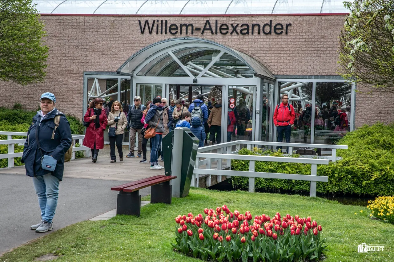 willem alexander