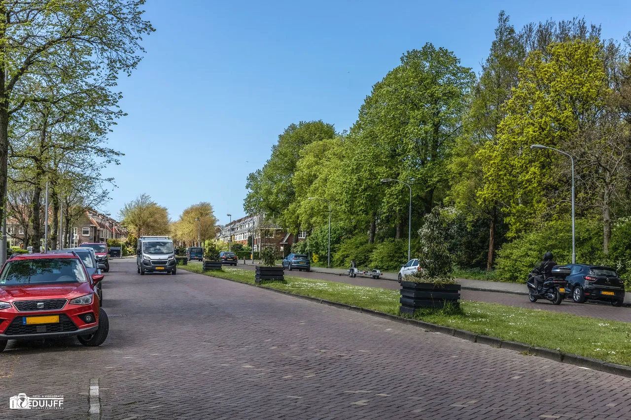 zaanenlaanbebost