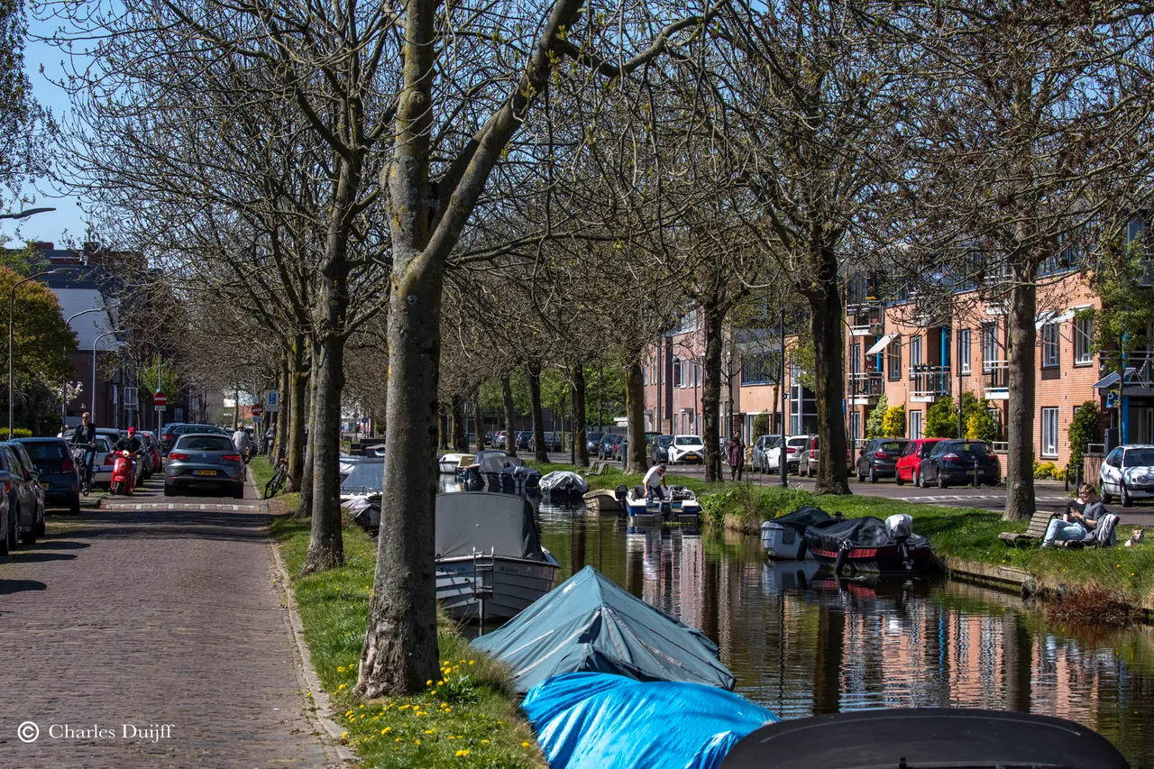 zomerkade1