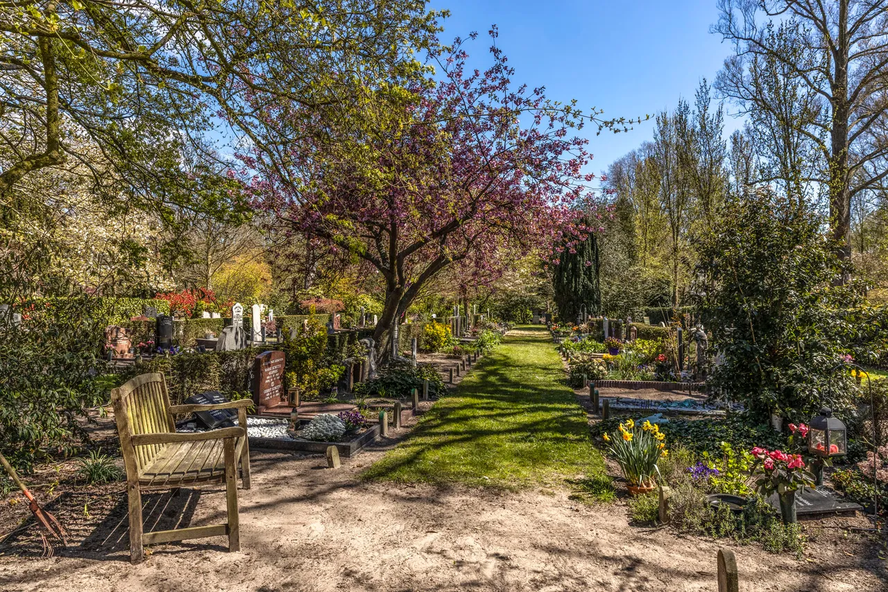zonnig en kleurrijk