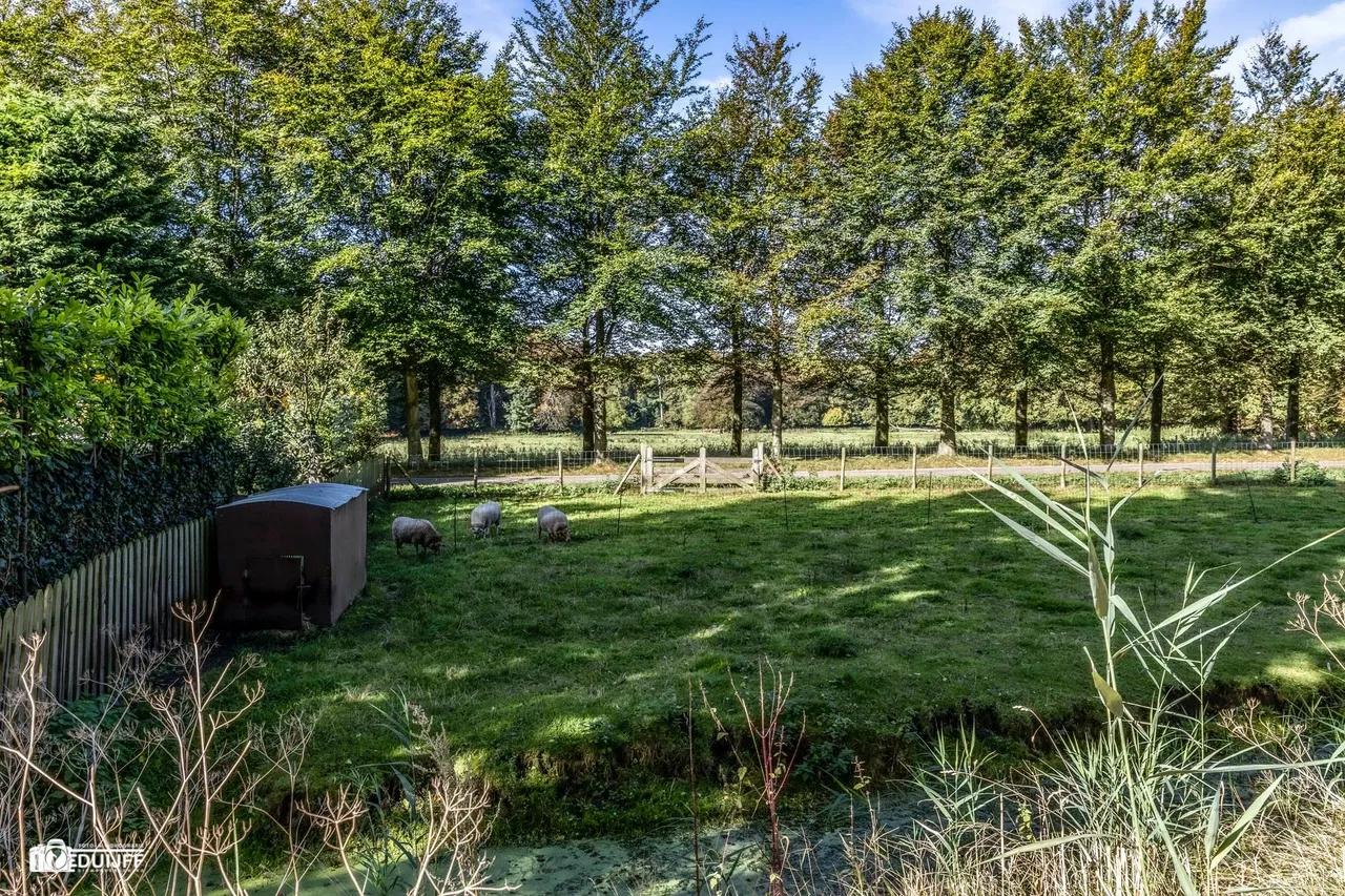 zuider tuindorpslaan b