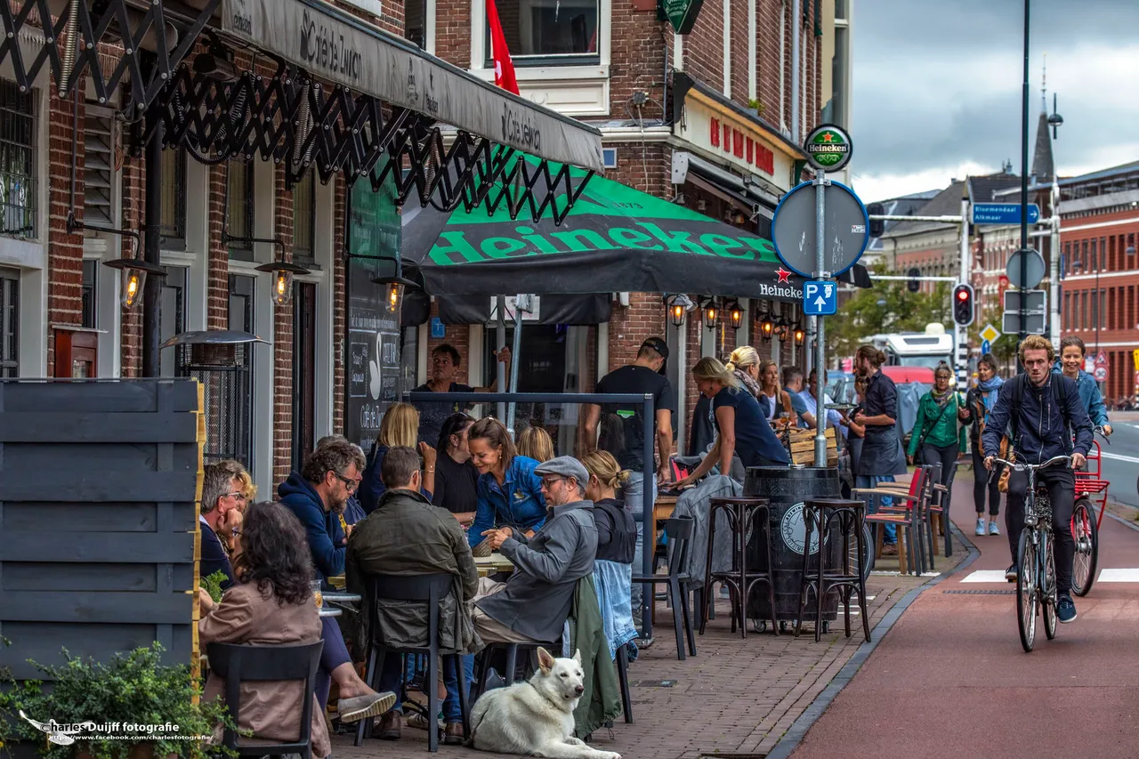 zwaan en wapen