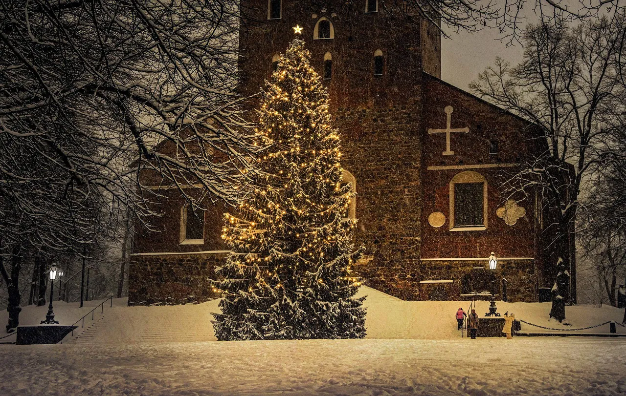 christmas tree 6895765 1920 kopie
