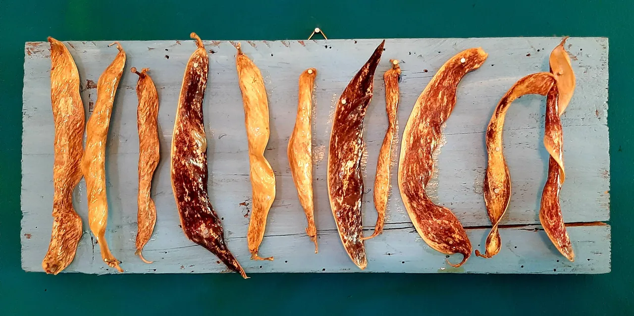 Raga Paape - eigen werk (7)