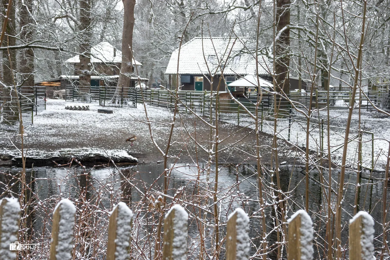 H Hout Kinderboerderij 2 SONY