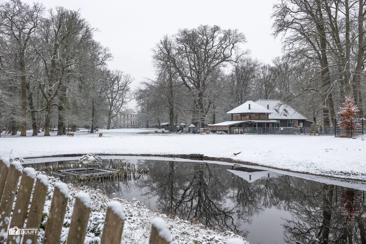 H Hout Provinnciehuis SONY