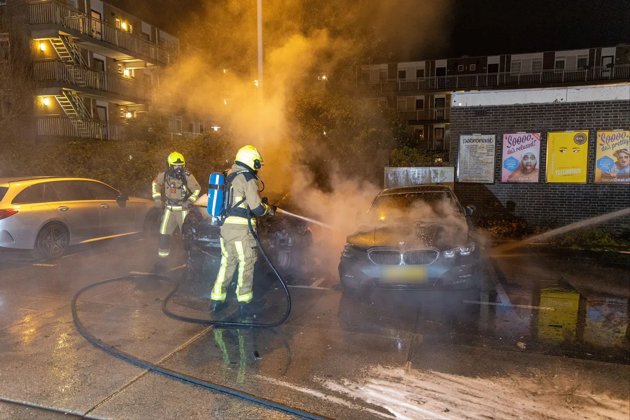 2c56a7df b8d9 4938 a850 47850018819b