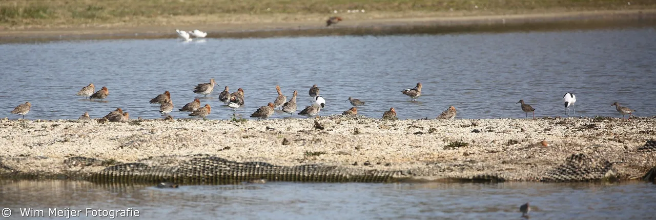 5i5a7700gruttos panorama