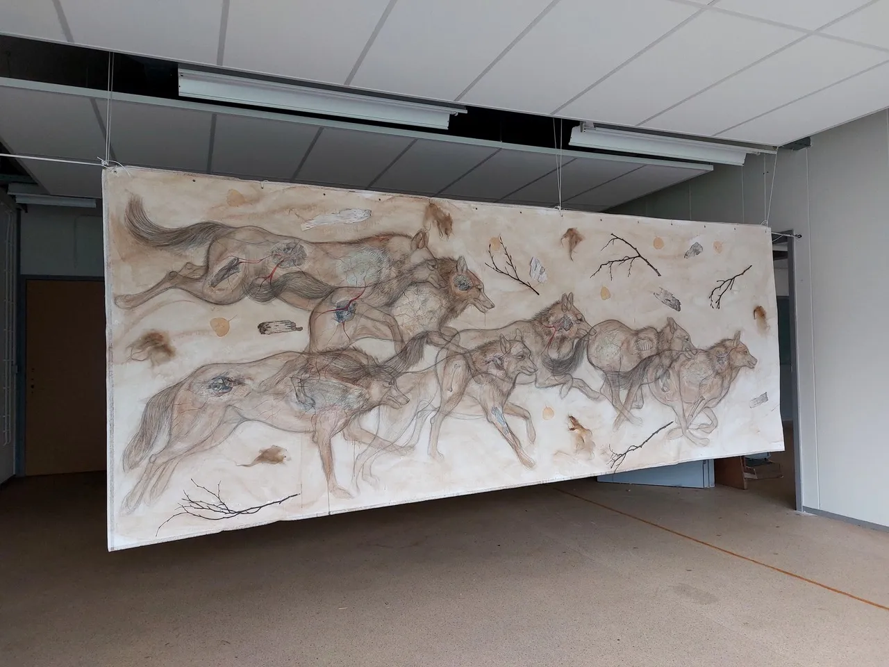 aeolus ii 2023 450 x 165 m 1