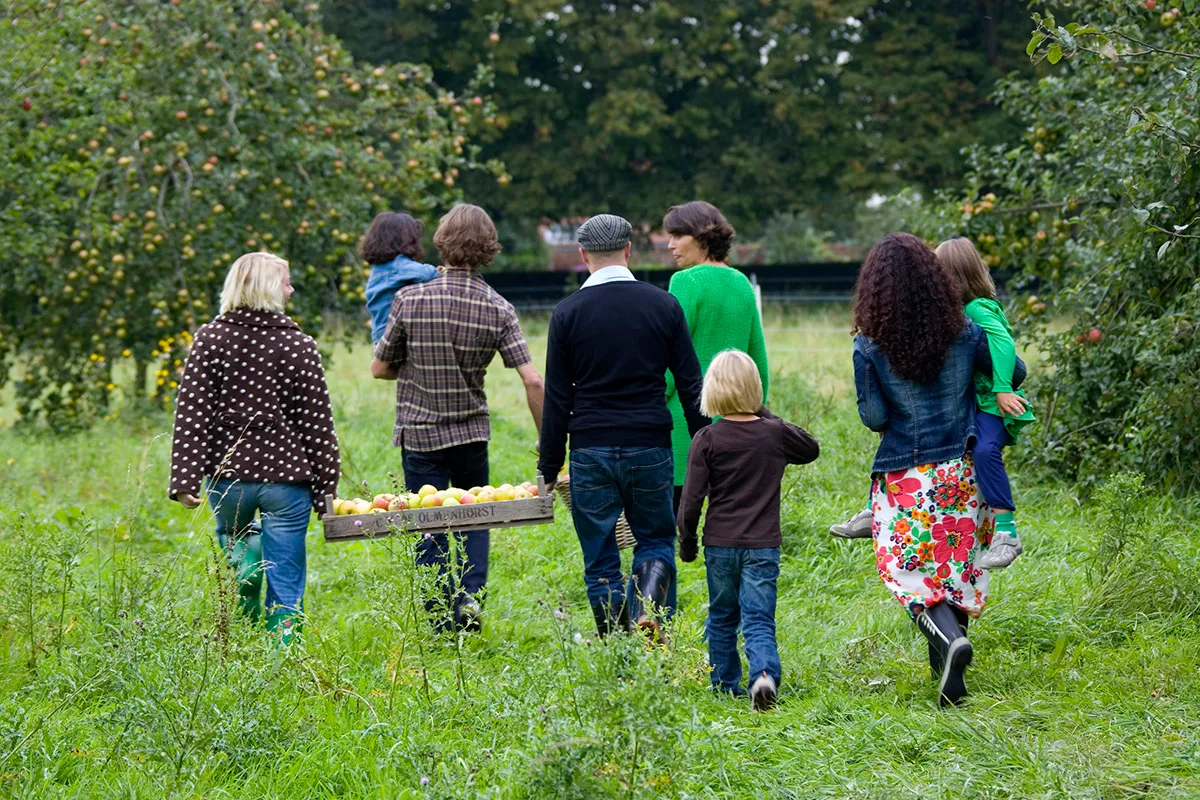 appelpluk 115