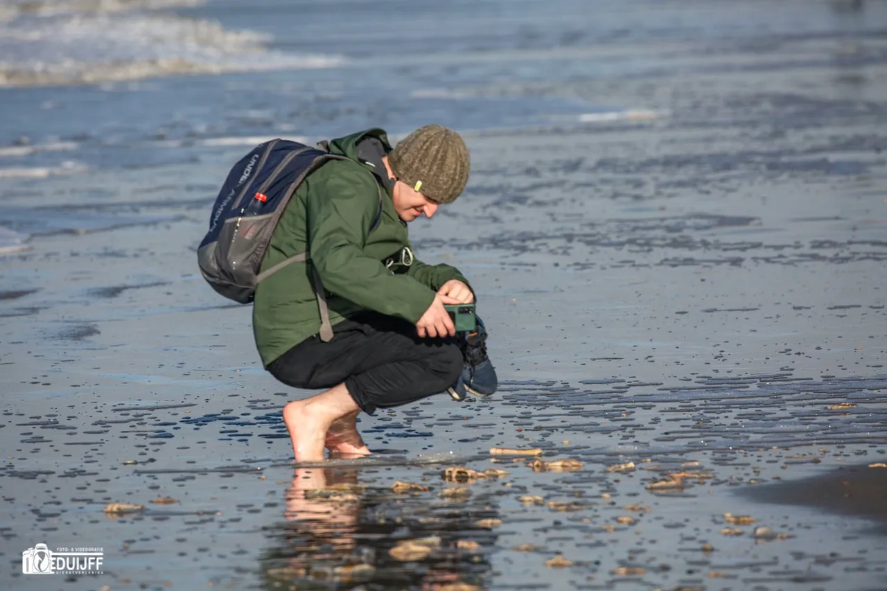 bekijken zeesterren