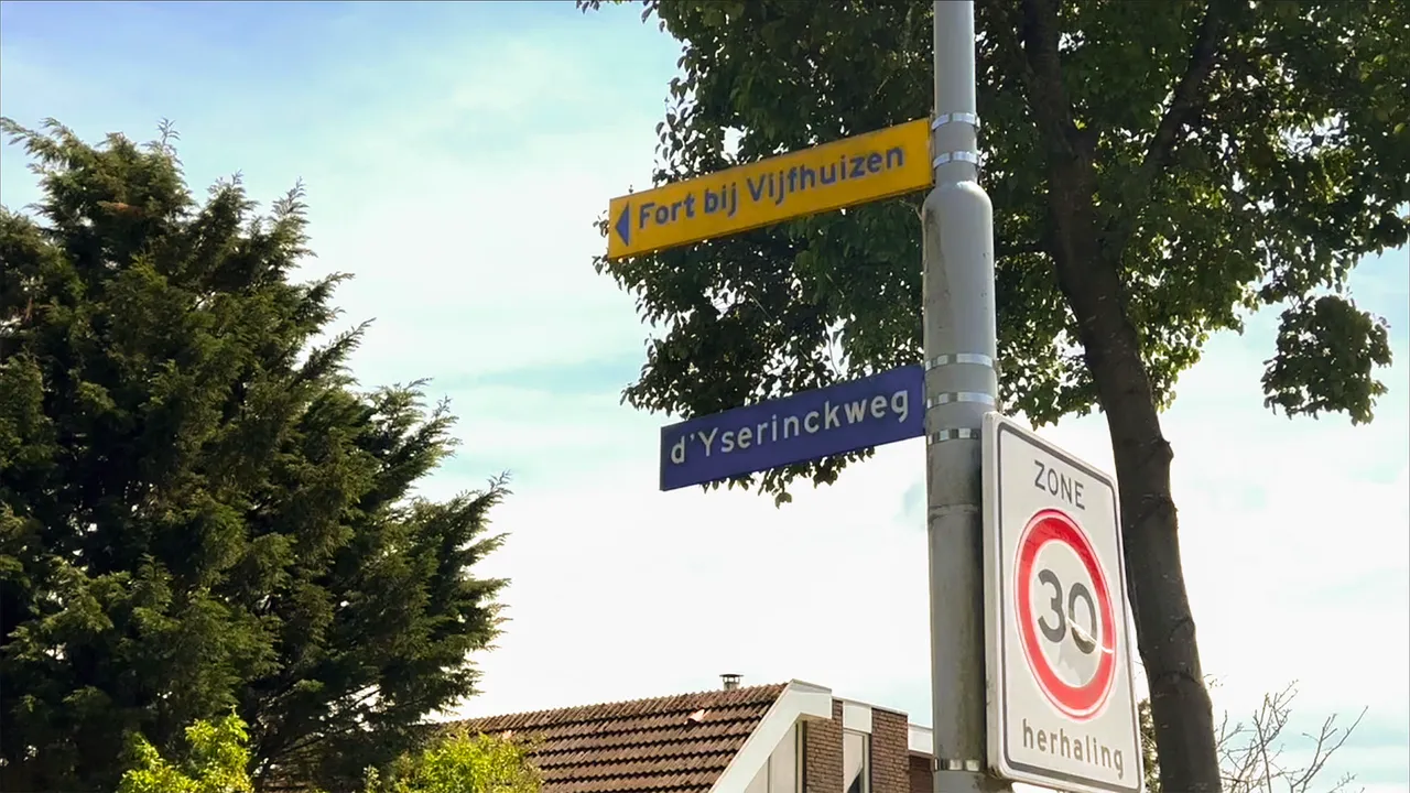 bewijzering