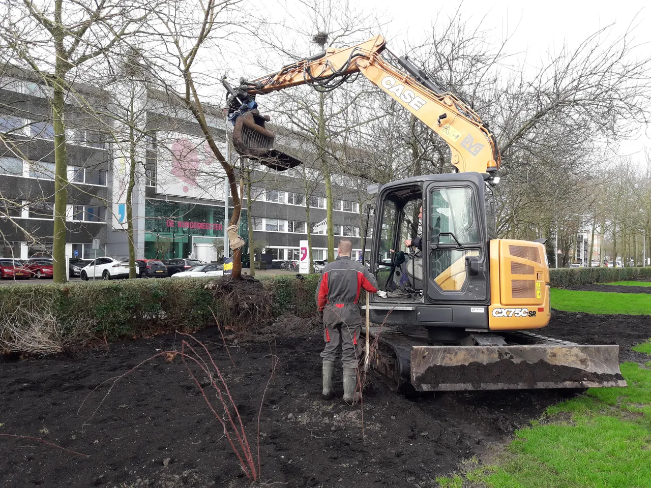 blog20 2grotebomen redden