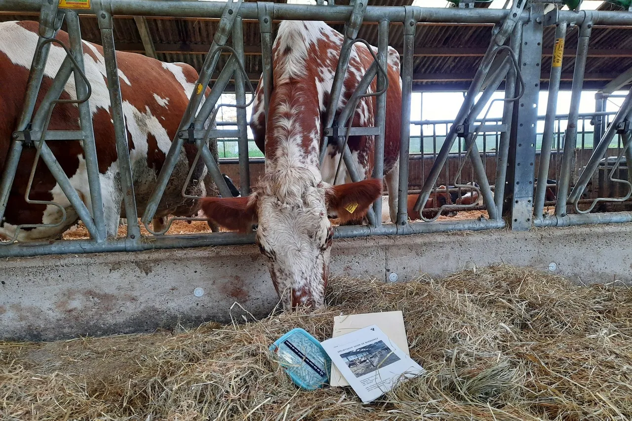 boerderij speurtocht