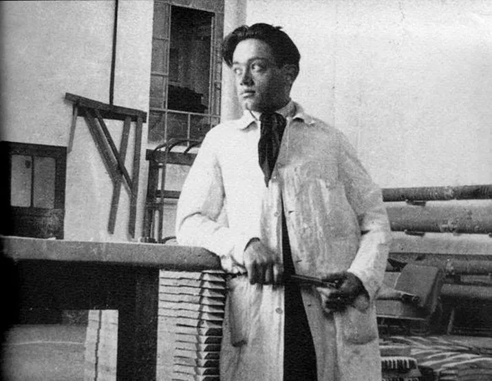 flaminio bertoni wiki