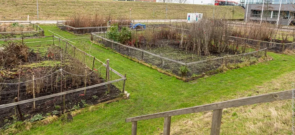gersorteerdop soort inde bomnehub
