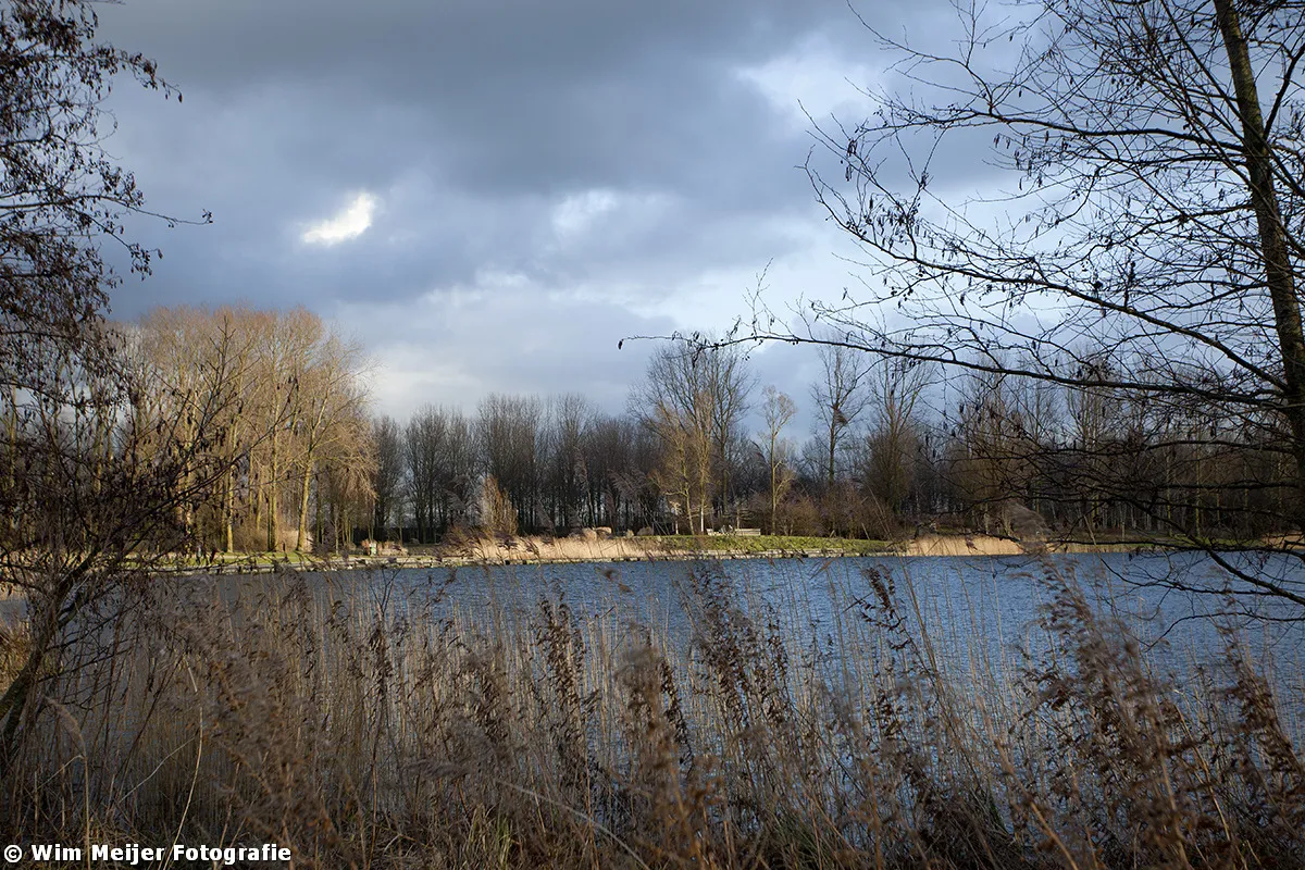haarlemmermeerse bos wim meijer fotografie 03
