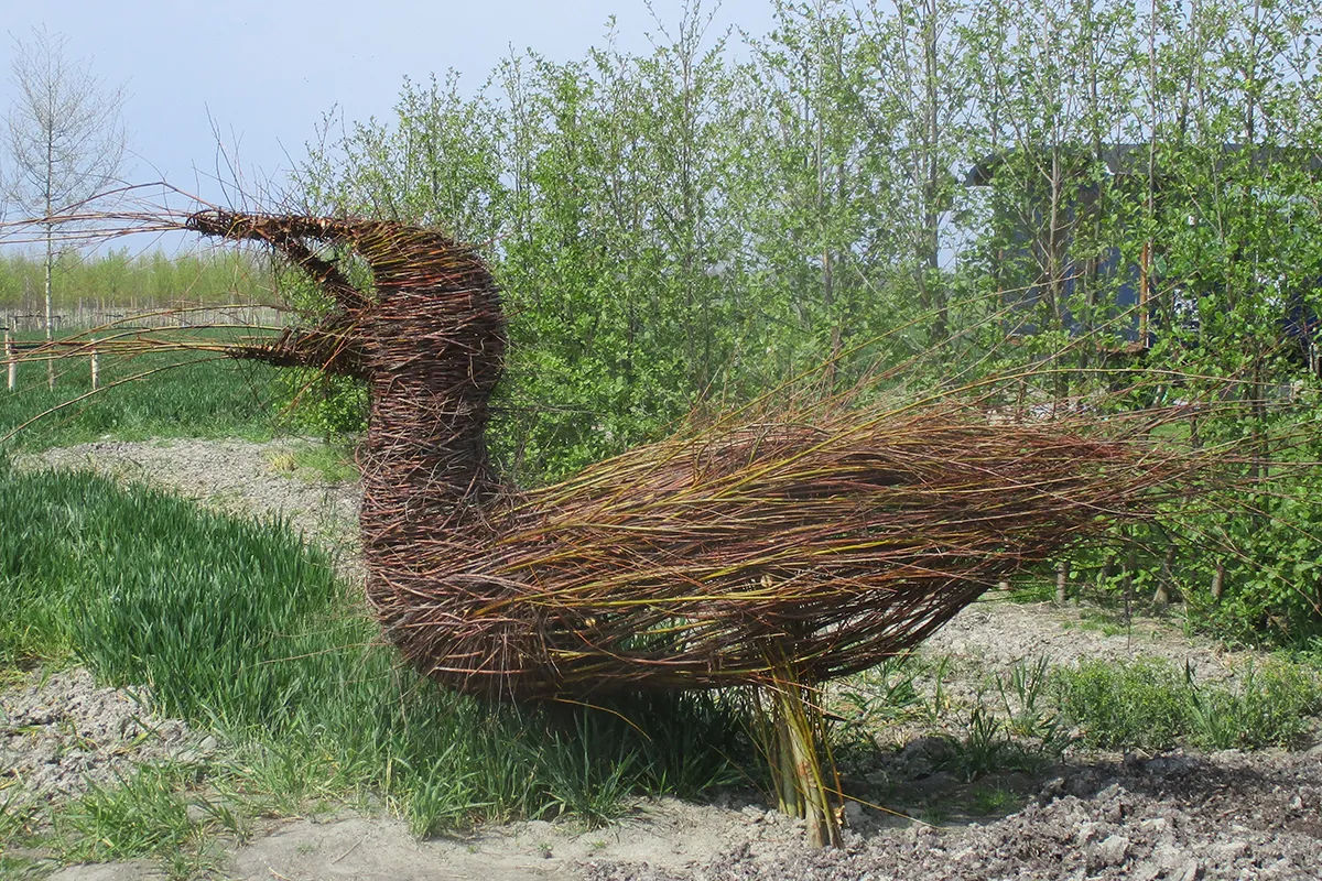 img 0650