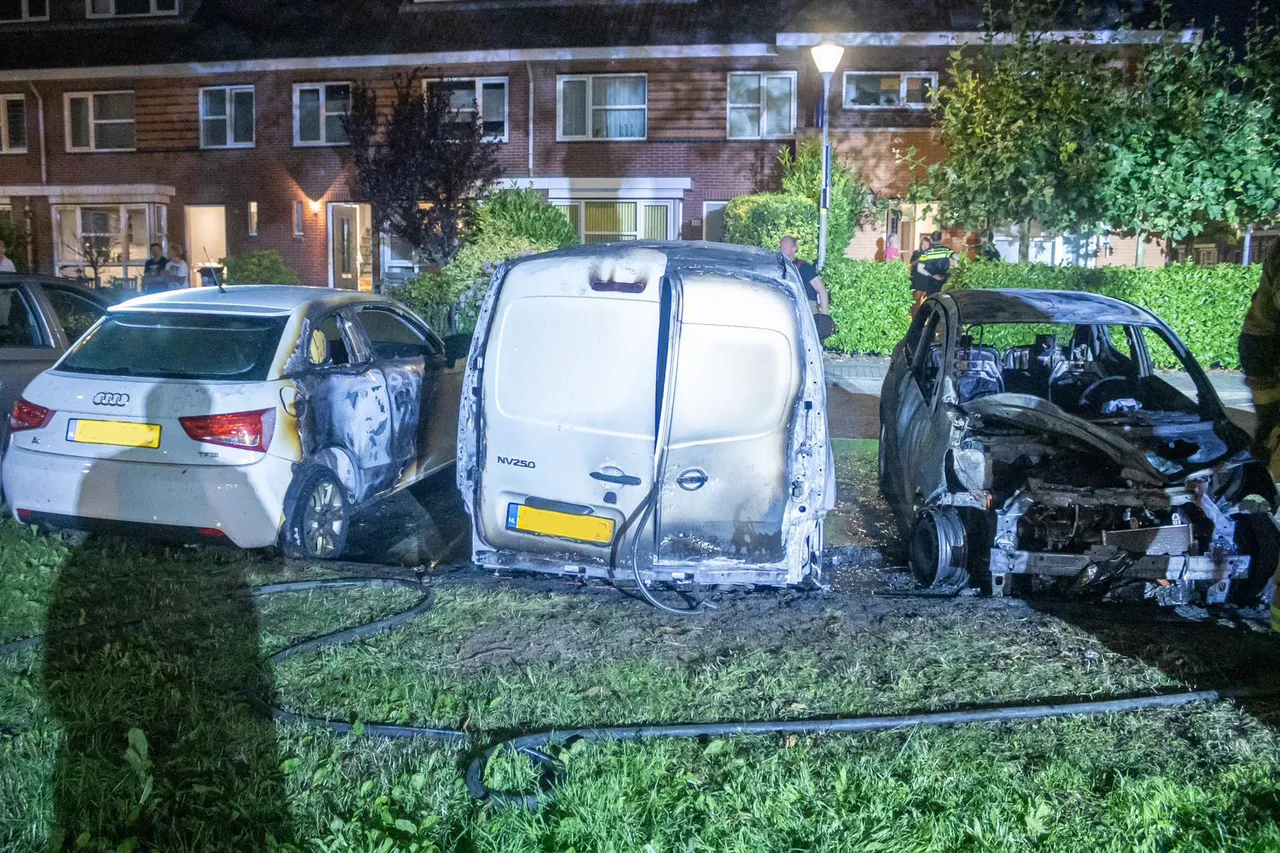 img 20230819 wa0011 kopieren