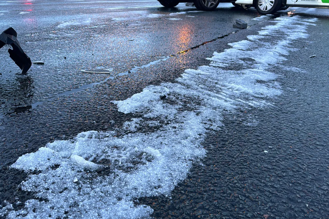 img 20240324 wa0013 kopieren