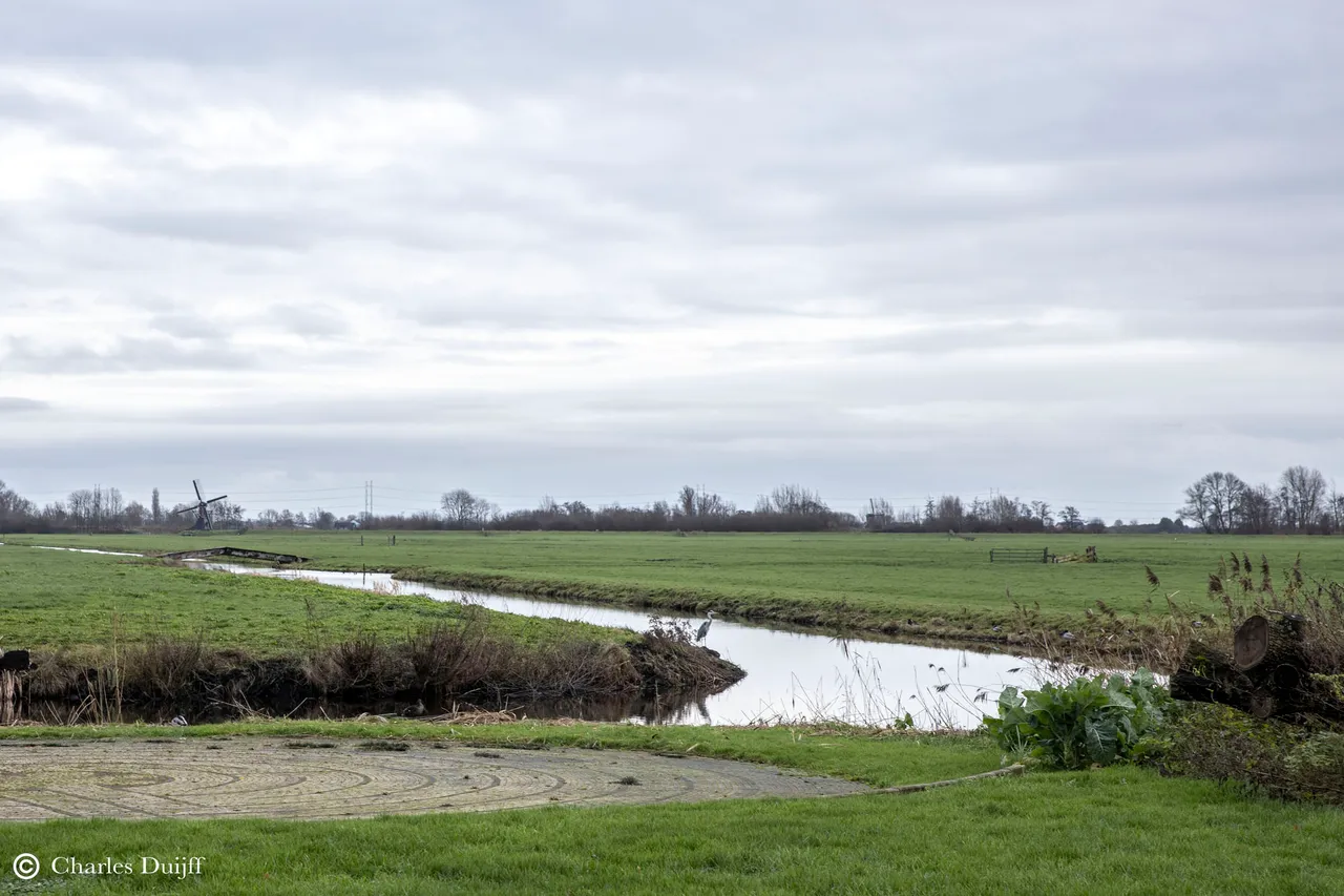 reiger