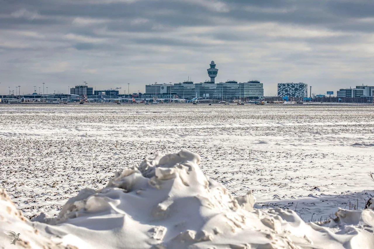 schiphol2