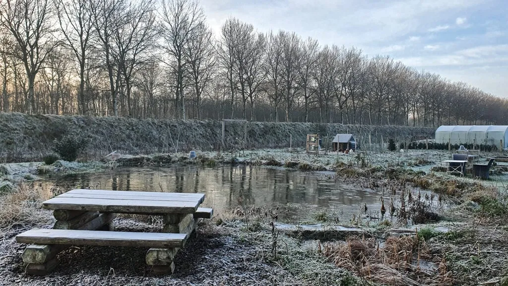 tin vorst wim meijer fotografie 1024x576