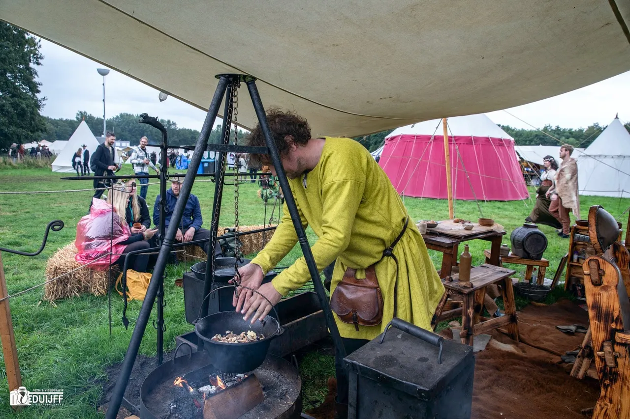 vuur en paddenst b art