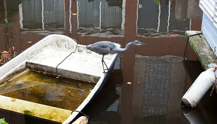 wim meijer fotografie mg 7240 banner