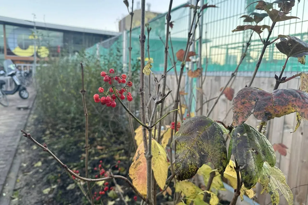 Raadhuisplein20inrichting3