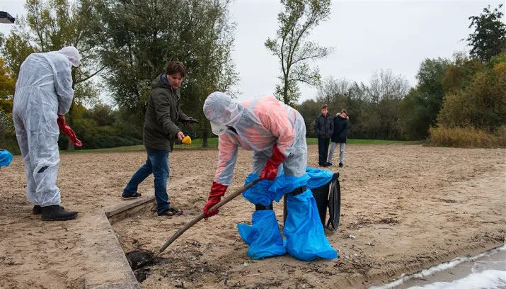 dode vogels zeewolde besmet vogelgriep monnickendam anp nieuwsnl