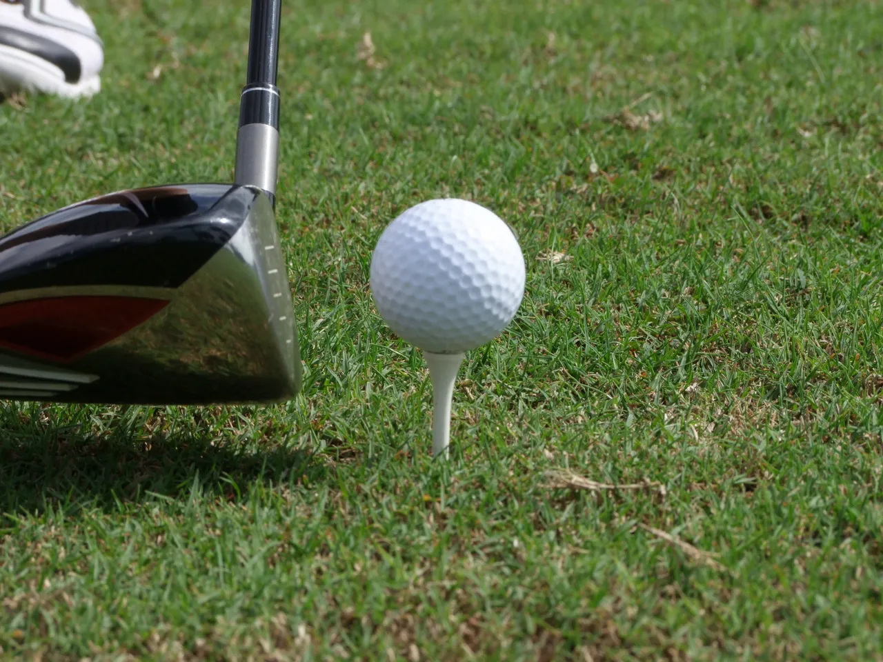 golf 83871