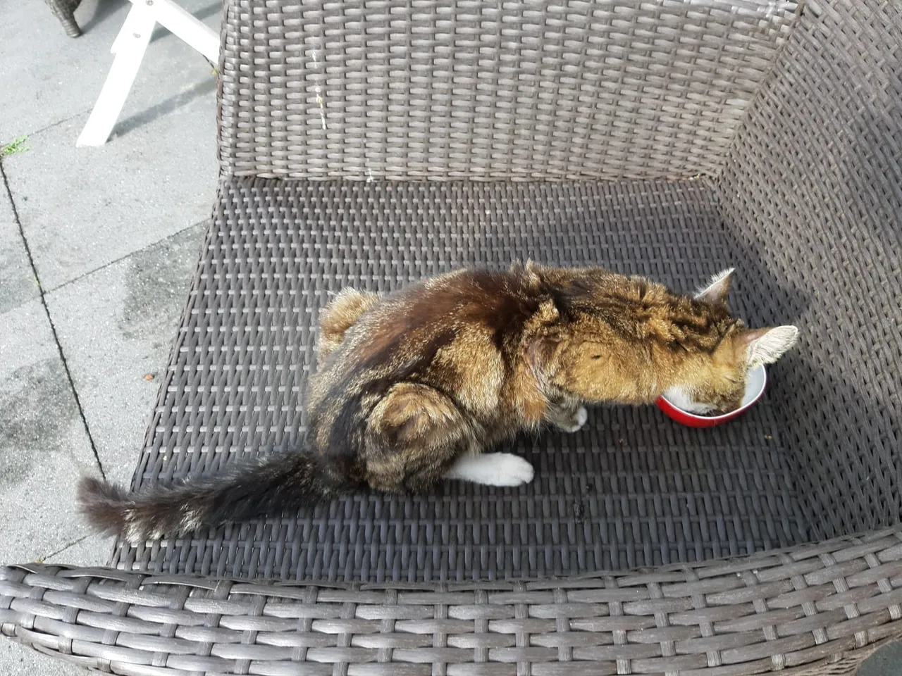 kat kuyperlaan